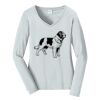 Ladies Long Sleeve Fan Favorite V Neck Tee Thumbnail